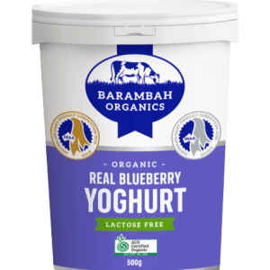 Barambah Blueberry Yog 500g