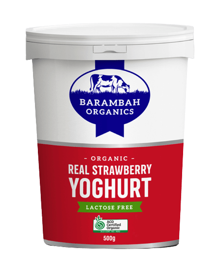 Barambah Organics Strawberry Yoghurt 500g (Box of 6)