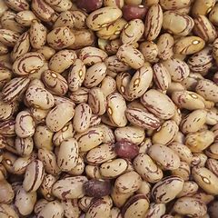 Australian Faba Beans 5 kg