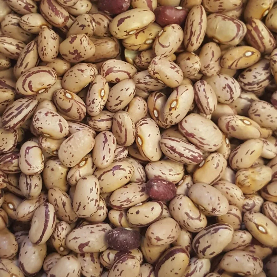 Australian Borlotti Beans 25kg