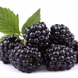 Blackberries Aus 1kg