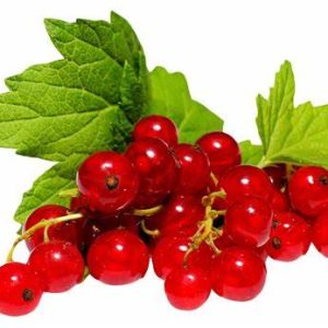 Redcurrants 1kg