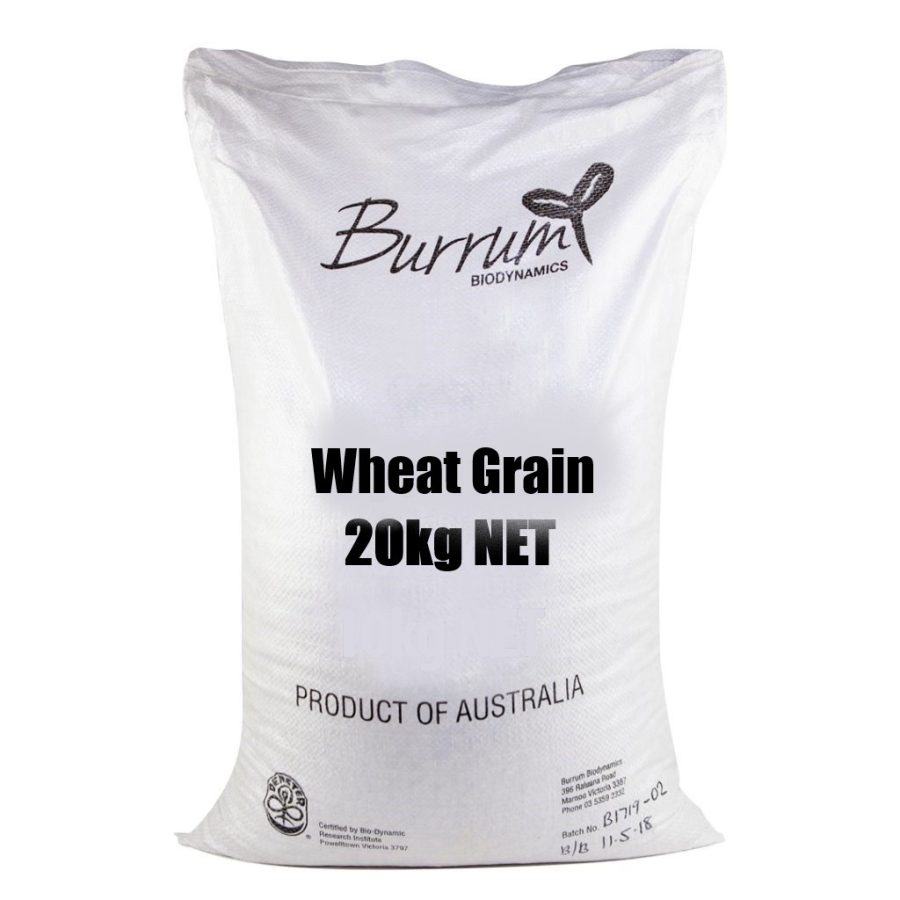 Bio Dynamic Wheat Grain 20kg