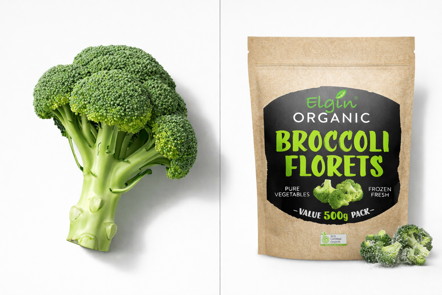 A split image showing vibrant fresh broccoli on one side and a bag of frozen broccoli on the other, symbolizing the comparison
