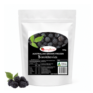 HARVESTIME GUAVA PUREE CUBES 1KG